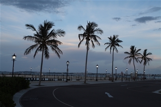 Click for large image